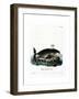 Bowhead Whale-null-Framed Giclee Print