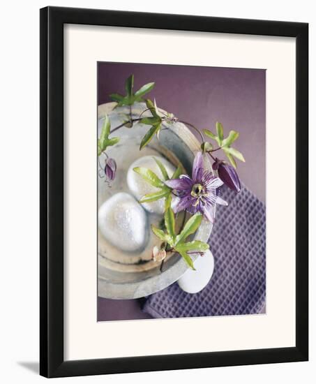 Bowl and Passionflower-Amelie Vuillon-Framed Art Print