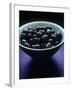 Bowl of Black Olives-Maja Smend-Framed Photographic Print