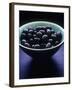 Bowl of Black Olives-Maja Smend-Framed Photographic Print