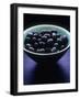 Bowl of Black Olives-Maja Smend-Framed Photographic Print