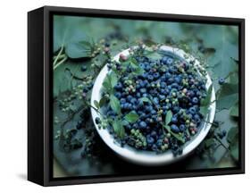 Bowl of Blueberries-ATU Studios-Framed Stretched Canvas