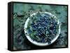 Bowl of Blueberries-ATU Studios-Framed Stretched Canvas