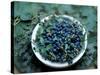 Bowl of Blueberries-ATU Studios-Stretched Canvas