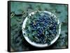 Bowl of Blueberries-ATU Studios-Framed Stretched Canvas