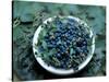 Bowl of Blueberries-ATU Studios-Stretched Canvas