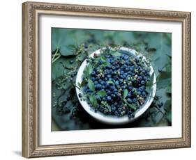 Bowl of Blueberries-ATU Studios-Framed Photographic Print