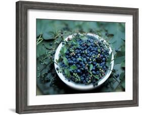 Bowl of Blueberries-ATU Studios-Framed Photographic Print