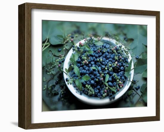 Bowl of Blueberries-ATU Studios-Framed Photographic Print