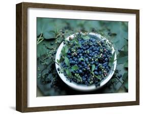 Bowl of Blueberries-ATU Studios-Framed Photographic Print