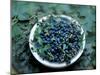 Bowl of Blueberries-ATU Studios-Mounted Photographic Print