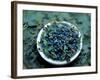 Bowl of Blueberries-ATU Studios-Framed Photographic Print