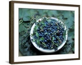 Bowl of Blueberries-ATU Studios-Framed Photographic Print