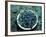 Bowl of Blueberries-ATU Studios-Framed Photographic Print