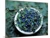 Bowl of Blueberries-ATU Studios-Mounted Photographic Print