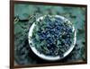 Bowl of Blueberries-ATU Studios-Framed Photographic Print