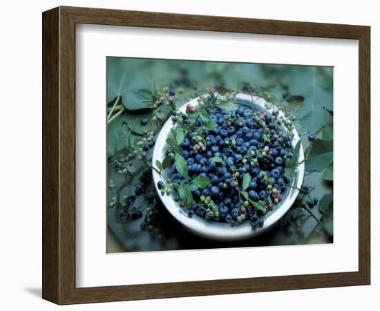 Bowl of Blueberries-ATU Studios-Framed Photographic Print