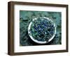 Bowl of Blueberries-ATU Studios-Framed Photographic Print