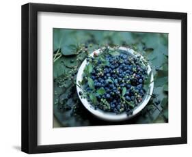 Bowl of Blueberries-ATU Studios-Framed Photographic Print