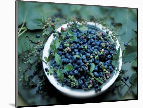 Bowl of Blueberries-ATU Studios-Mounted Photographic Print