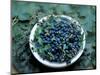Bowl of Blueberries-ATU Studios-Mounted Photographic Print
