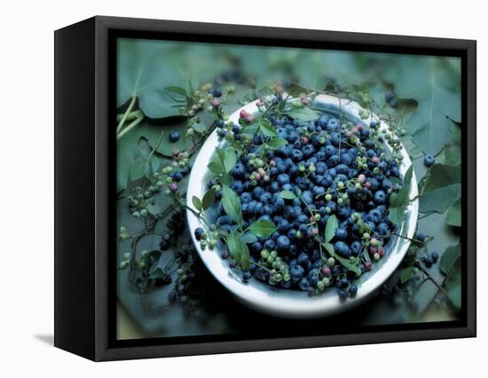 Bowl of Blueberries-ATU Studios-Framed Stretched Canvas