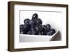 Bowl of blueberries.-Michele Niles-Framed Photographic Print