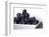 Bowl of blueberries.-Michele Niles-Framed Photographic Print