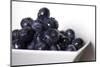 Bowl of blueberries.-Michele Niles-Mounted Photographic Print