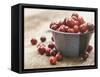 Bowl of cranberries-Fancy-Framed Stretched Canvas