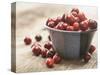 Bowl of cranberries-Fancy-Stretched Canvas