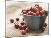 Bowl of cranberries-Fancy-Mounted Photographic Print