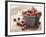 Bowl of cranberries-Fancy-Framed Photographic Print