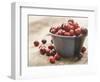 Bowl of cranberries-Fancy-Framed Photographic Print