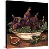 Bowl of Figs-Suzanne Etienne-Stretched Canvas