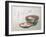 Bowl of Fish and Noodles (New Year Meal)-Teisai Hokuba-Framed Giclee Print