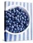 Bowl of Fresh Blueberries on Striped Cloth-Yvonne Duivenvoorden-Stretched Canvas