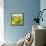 Bowl of Fruit I-Ethan Harper-Framed Stretched Canvas displayed on a wall