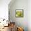 Bowl of Fruit I-Ethan Harper-Framed Stretched Canvas displayed on a wall