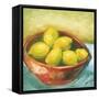 Bowl of Fruit IV-Ethan Harper-Framed Stretched Canvas