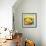 Bowl of Fruit IV-Ethan Harper-Framed Art Print displayed on a wall