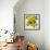 Bowl of Fruit-Dale Payson-Framed Giclee Print displayed on a wall