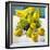 Bowl of Fruit-Dale Payson-Framed Giclee Print