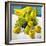 Bowl of Fruit-Dale Payson-Framed Premium Giclee Print