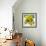 Bowl of Fruit-Dale Payson-Framed Premium Giclee Print displayed on a wall
