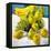 Bowl of Fruit-Dale Payson-Framed Stretched Canvas