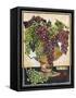 Bowl of Grapes-Jennifer Garant-Framed Stretched Canvas