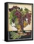 Bowl of Grapes-Jennifer Garant-Framed Stretched Canvas