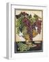 Bowl of Grapes-Jennifer Garant-Framed Giclee Print