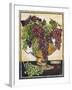 Bowl of Grapes-Jennifer Garant-Framed Giclee Print